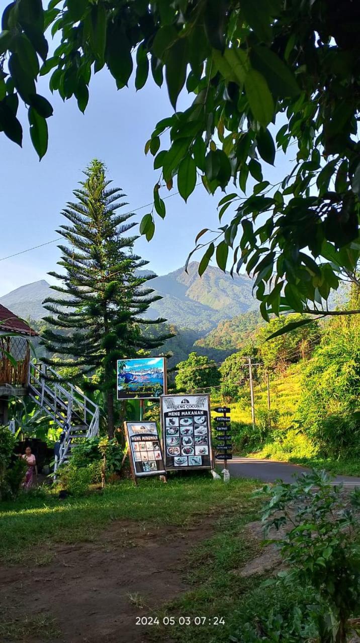 Blue Mountain Cottage セナル エクステリア 写真