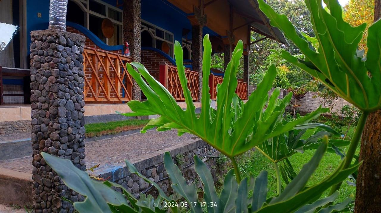 Blue Mountain Cottage セナル エクステリア 写真